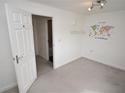 Picture 14